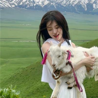 蝙蝠侠：神秘的女蝙蝠侠